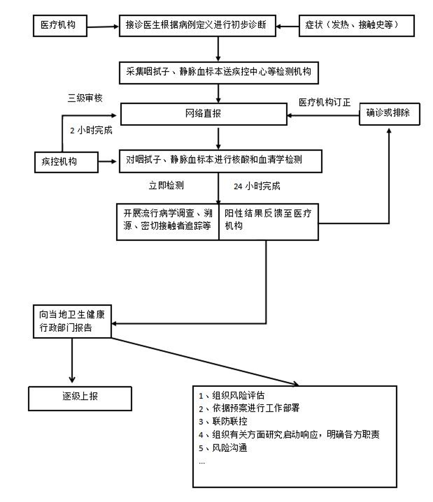 早發現早報告流程圖.png